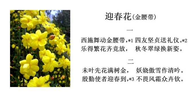 诗(酴花 迎春花 菠萝花)--陈荫萱()高二组【校友文萃】