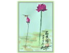荷 花 韵(水彩画)----------张高贤(香港)初22组【绘画作品】