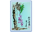 枯木养兰(水彩)------------张高贤(香港)初22组【绘画作品】