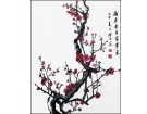 梅花香自苦寒来------------黄周玉(南安)高中83届【绘画作品】