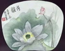 荷  韵---------------------黄周玉(南安)高中83届【绘画作品】