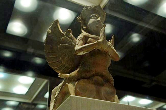 "妙音鸟(图片取自互联网)