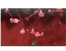 梅花拍攝选编--------------张时贤(福州)高四组【摄影作品】