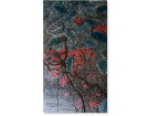 硕果累累------------------黄周玉(南安)高中83届【绘画作品】