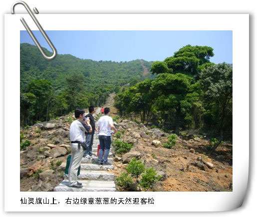 仙灵旗爬山记陈景祥厦门高中93届校友文萃