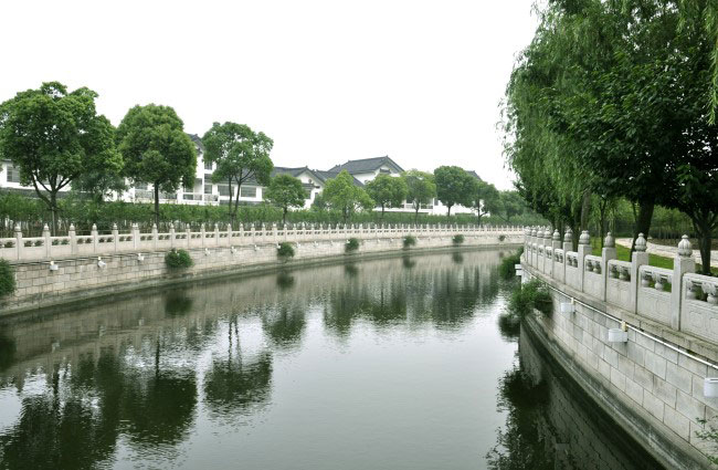江南莲花风景图片